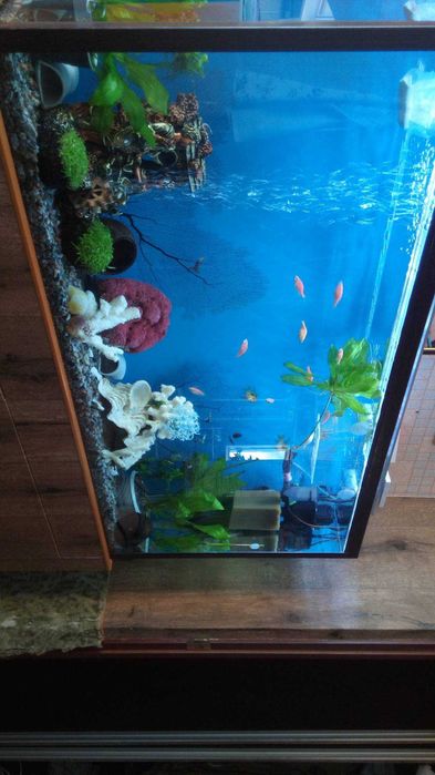 Чистка аквариумов