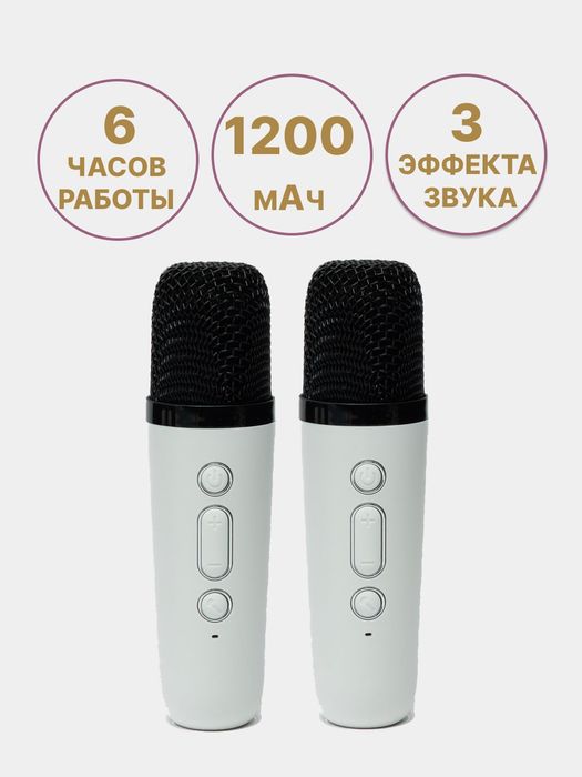 Караоке с  2мя микрафонами