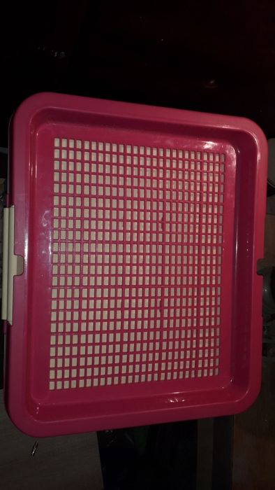 Лоток-туалет для собак.