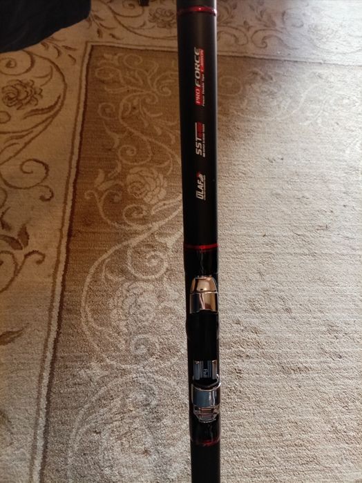 Болонеза colmic fiume wr t-8001