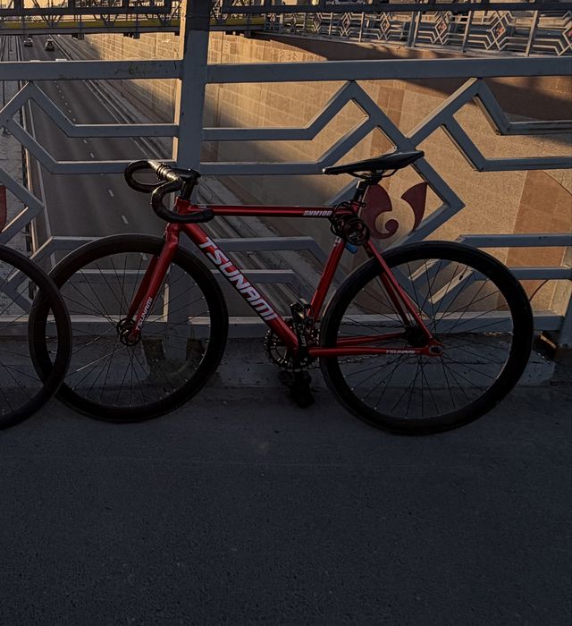 Фикс Tsunami snm 100