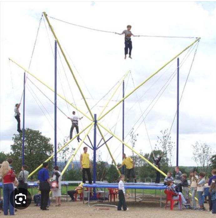 Тарзанка для парка