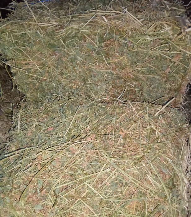 Бали люцерна, сено , слама