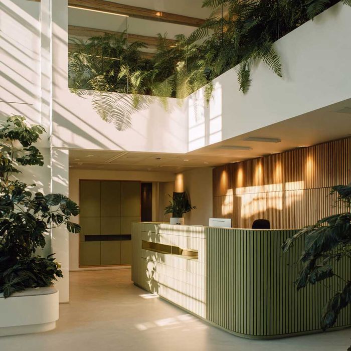 Proiecte de arhitectură, Design interior și Management de proiect