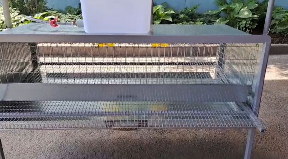 Клетки для содержания перепелов