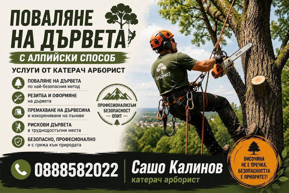 Премахване на опасни дървета Област Ловеч. Катерач арборист. Безплатни огледи и консултации!
