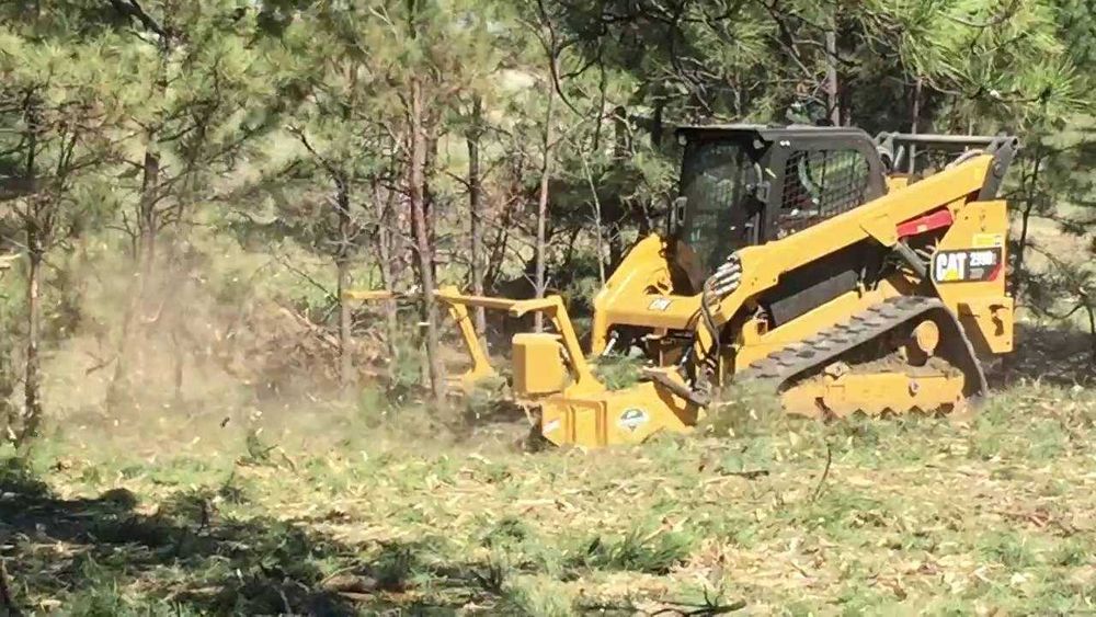 Servicii Profesionale de Defrișare a Terenurilor Vegetației Ambrozii