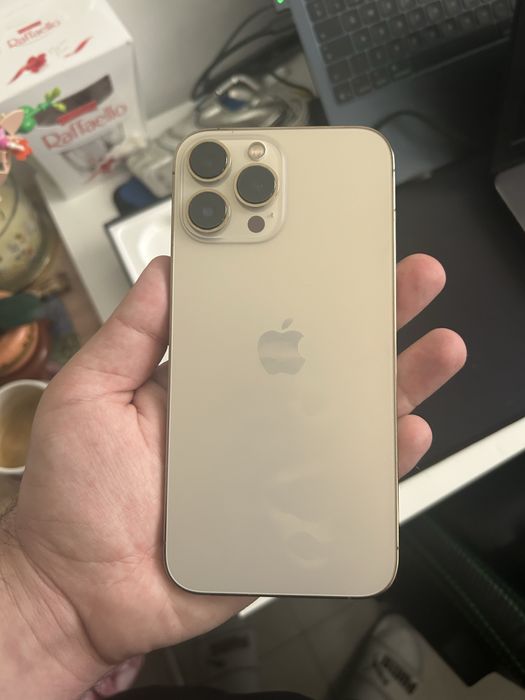 iPhone 13 Pro Max