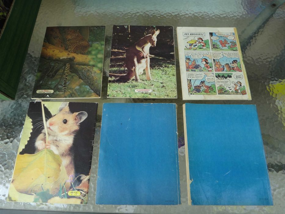 Списания "PIF" и "PIFOU"