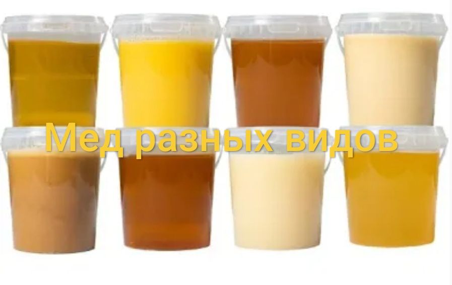 Мёд разных видов