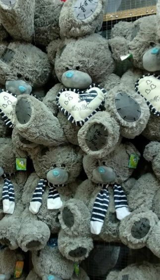 Teddy Teddi Teddiy OPTOM NARX