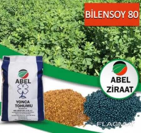 Семена кукурузы, люцерны, подсолнечника