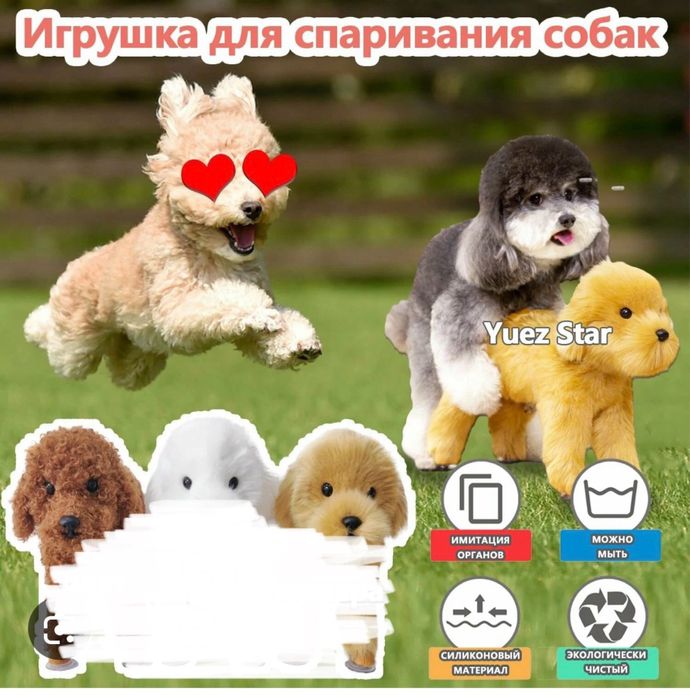 Собача счастья для вашего любимца