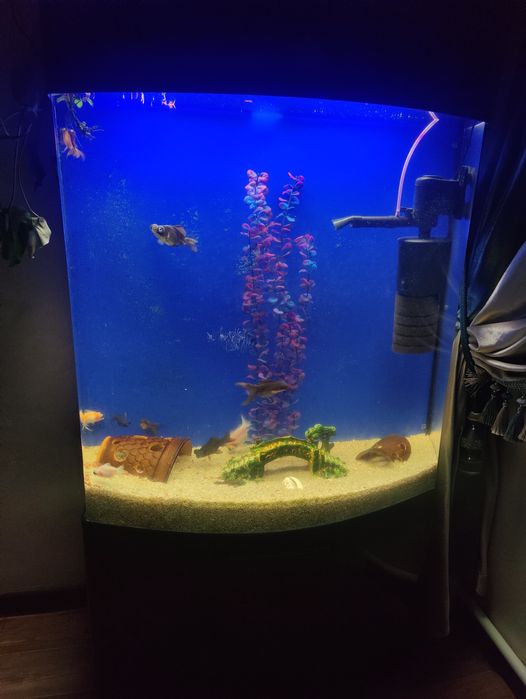 Срочно продаю аквариум