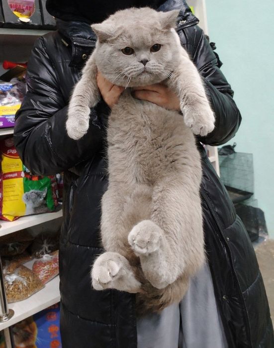 SOTILMAYDI. Vyazka/Вязка