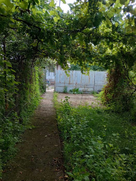Vând casă la curte // Suprafață totală de 950 mp