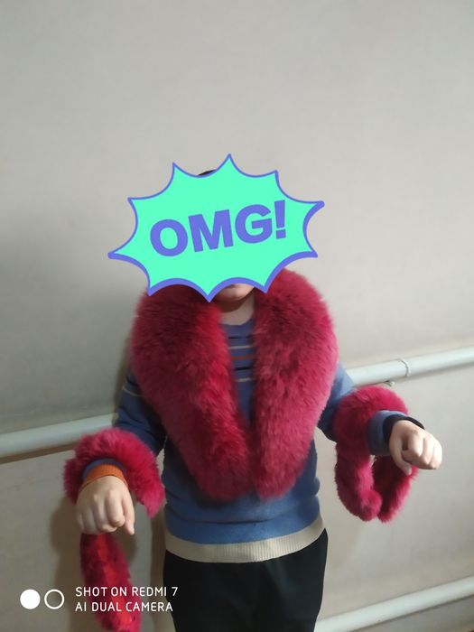 Shalgovi jaga jañi menen paltonnin shalgovi jagasi