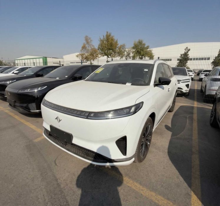 Dongfeng 008 Max 610km