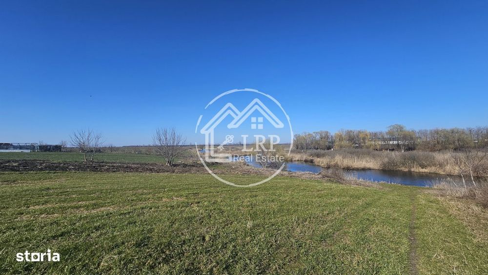 Loturi de Casa pe malul Lacului Creata, Dascalu – 460 mp + Drum serv