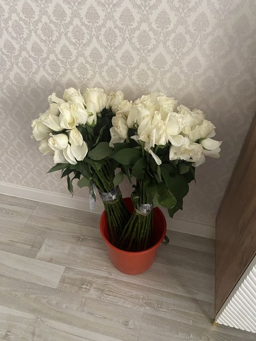 Цветы. Белые розы
