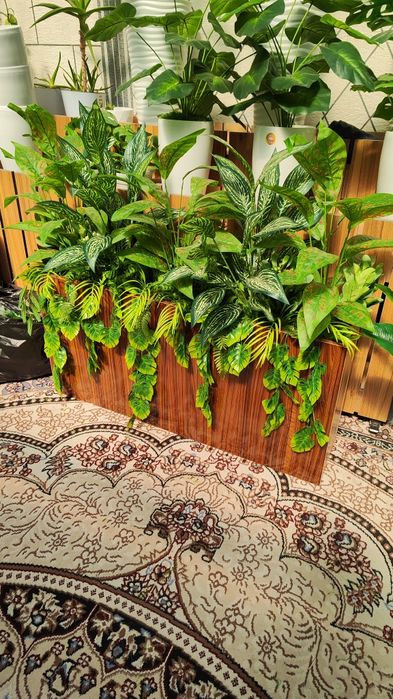 кашпо суний гуллар