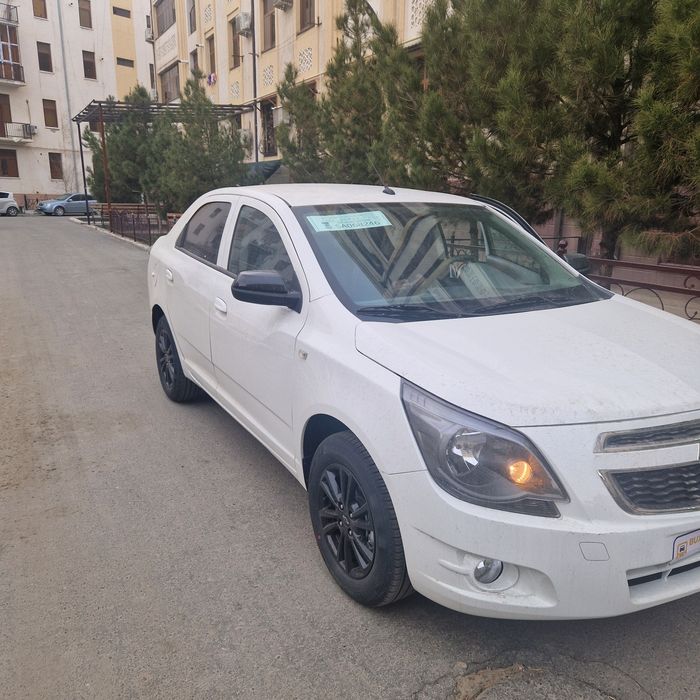 Cobalt midnight 2025 Aprel