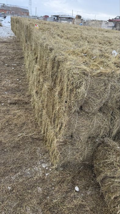 Продаю сено хорошего качества