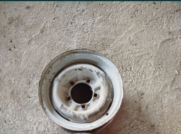 Diska volgani diskasi