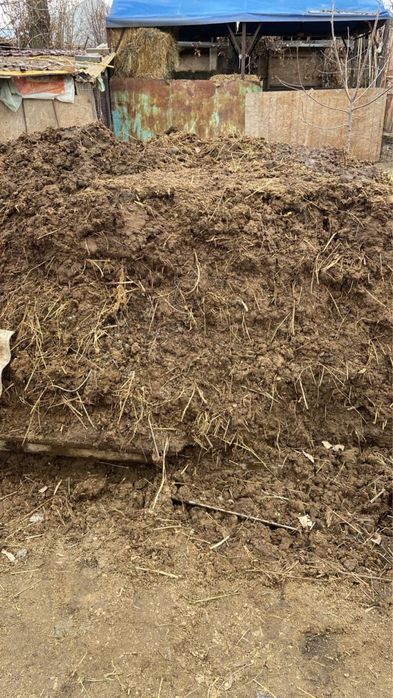 Перевешенный чернозем