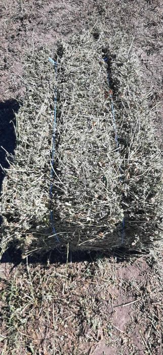 Vand baloti de lucerna