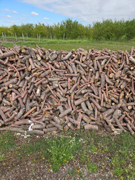 Продам дрова фруктовых деревьев