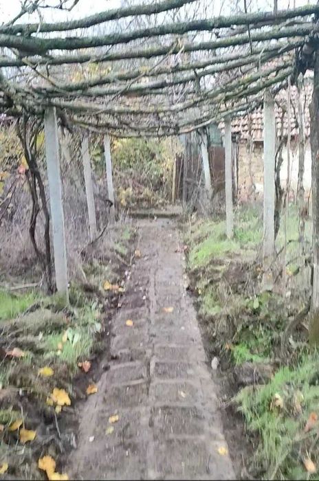 Две къщи с голям двор, стопанска постройка и самостоятелен геран в с. Хотница, обл. Велико Търново