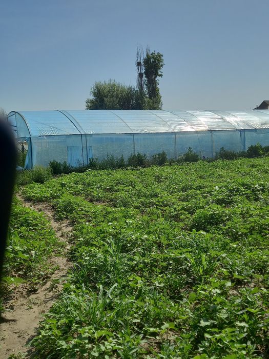 Теплица сатылады 13соттық