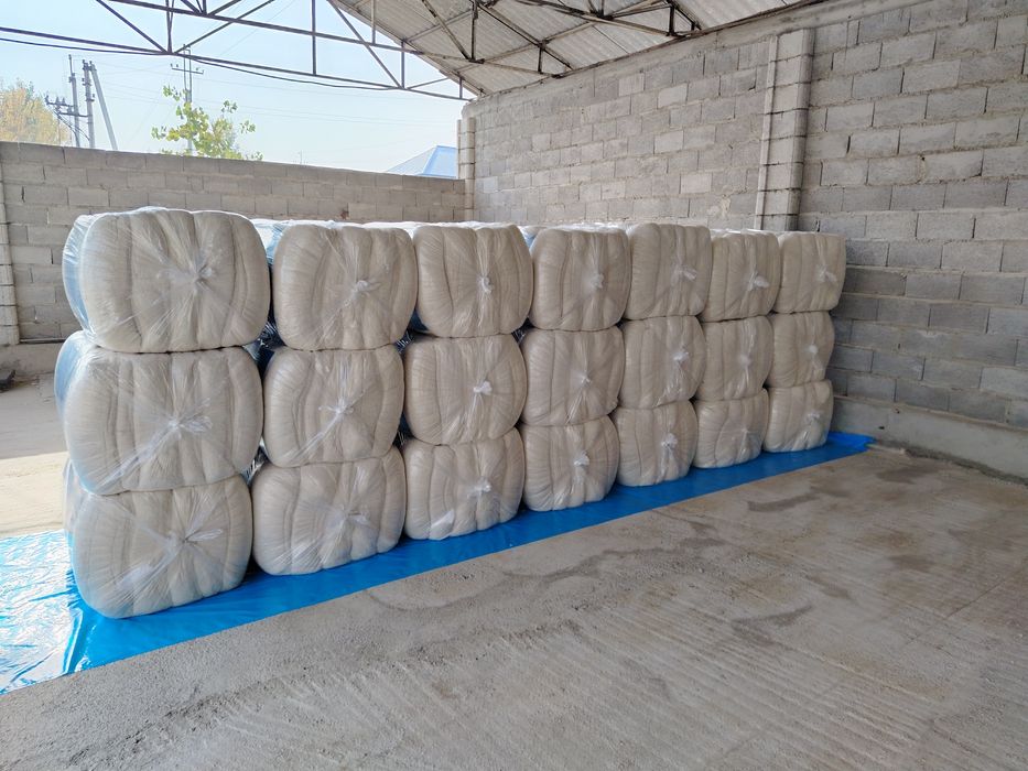 Той пахта 25 кг 50 кг чекланмаган микдорда ЧМ 50 дан чиккан