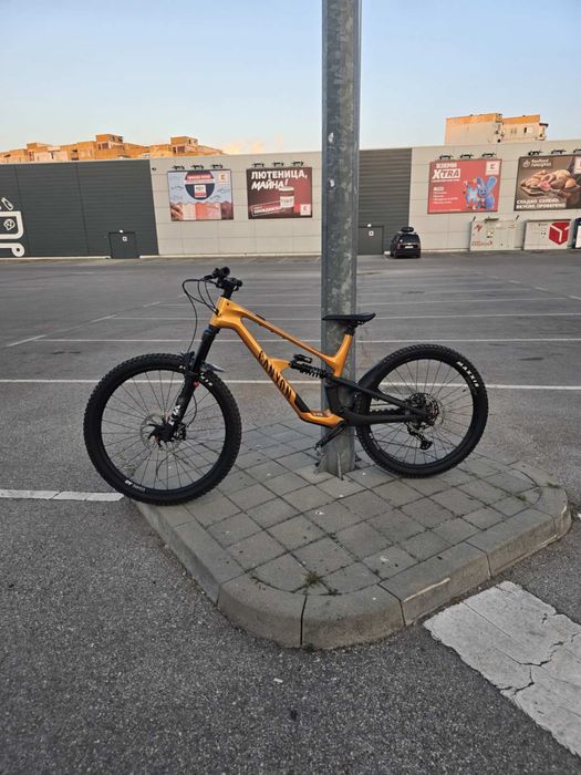 Canyon Spectral Cf8 CLLCTV XL