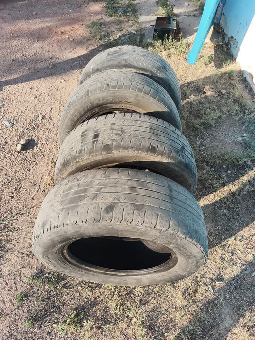 Продам шины  triangle