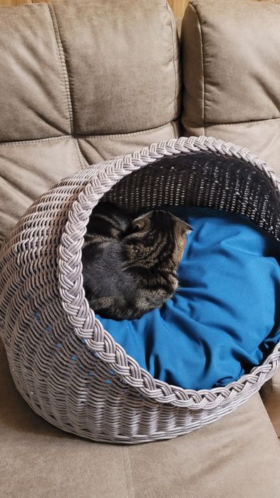 Лежанка для животных