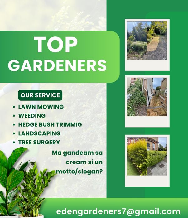 Servici Gradinarit , Spati verzi, Scari de bloc, tuns garduri, Gazon