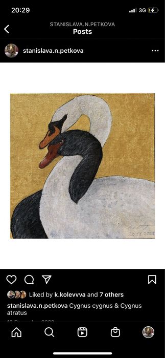 картини ръчна изработка