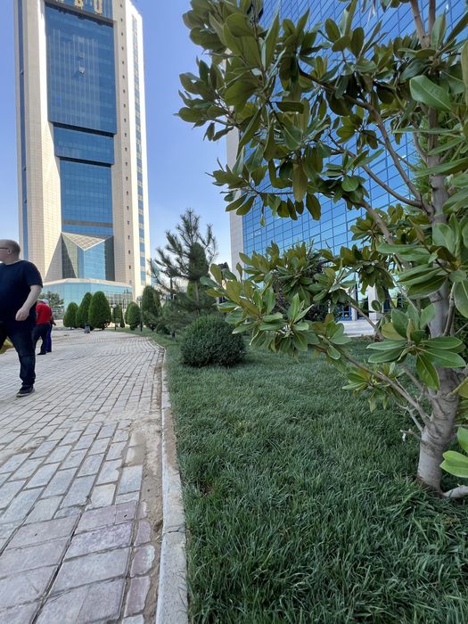 Gazo’n O’ptim cheklanmagan miqdorda birinchi qol