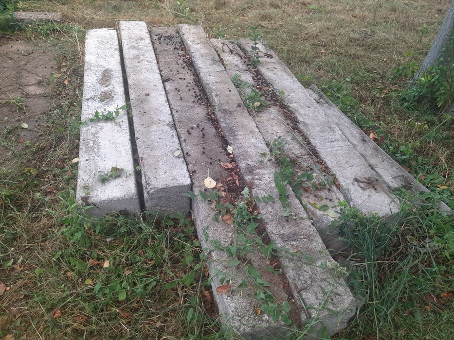 Продам пасынки 6 штук