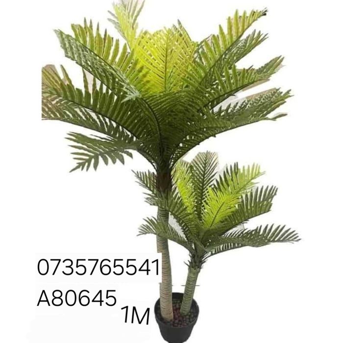 Palmier maslin copac exotic frunze cu aspect natural