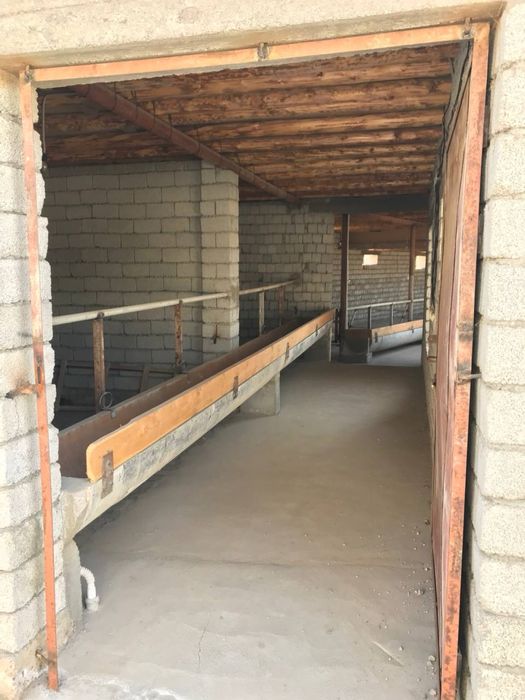 Уй Сотилади! Молхонаси билан!