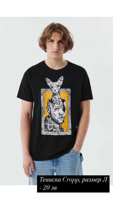 Мъжки тениски ( Zara, Cropp)