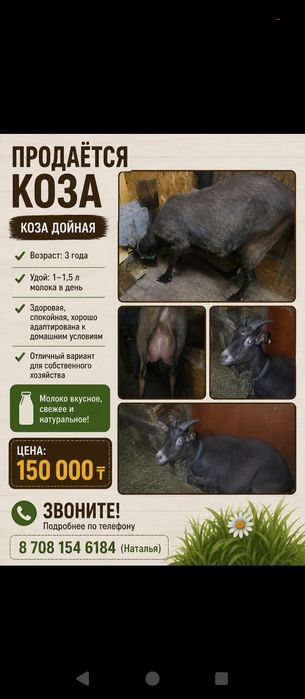 Продам козу дойную