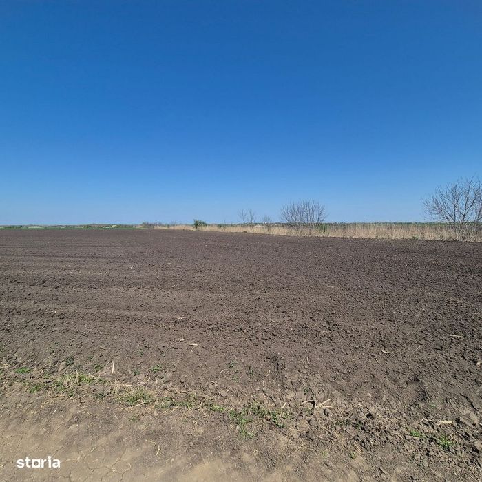GRADISTEA - Sat Sitaru, teren agricol 11.961mp, ideal investitie
