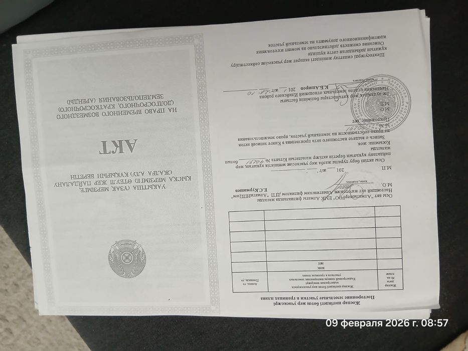 Продам фазенду со скотом