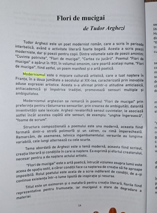 Noua,nu prea este folosita