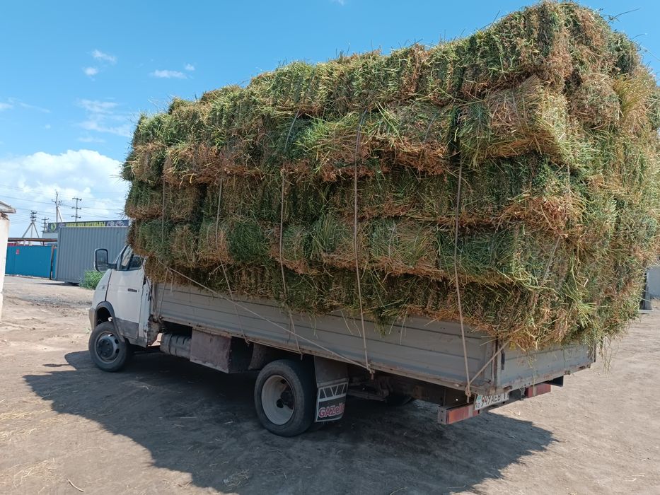 жоңышқа прес бар