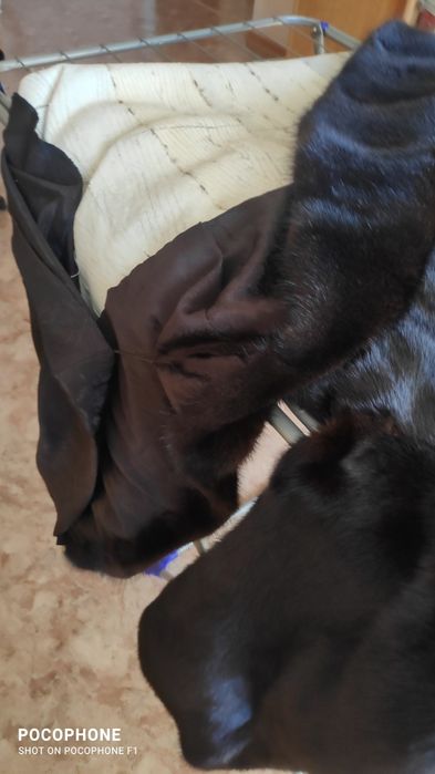 Продам норковую шубу